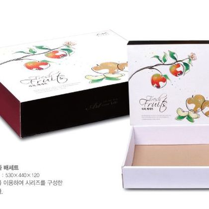 일반패키지 022