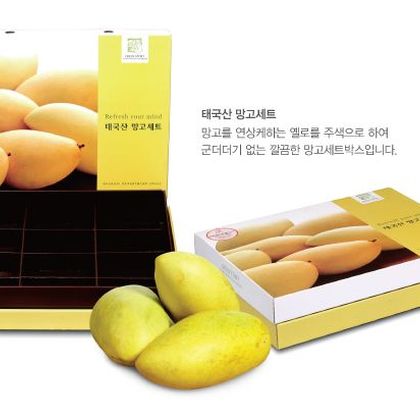 고급패키지 008