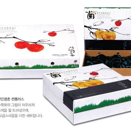 고급패키지 005